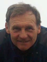 simular
