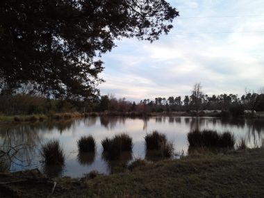 natureloverforever