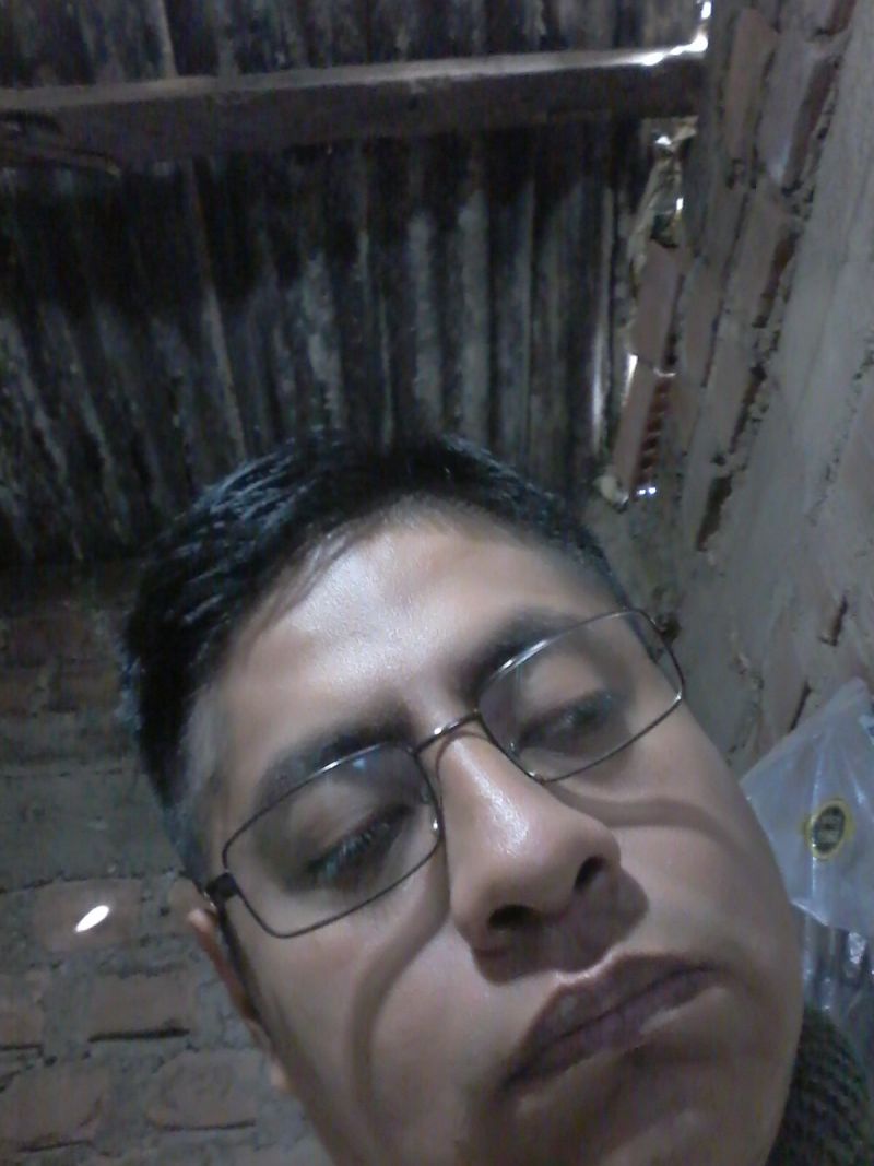 Gacelaamorpazliberta