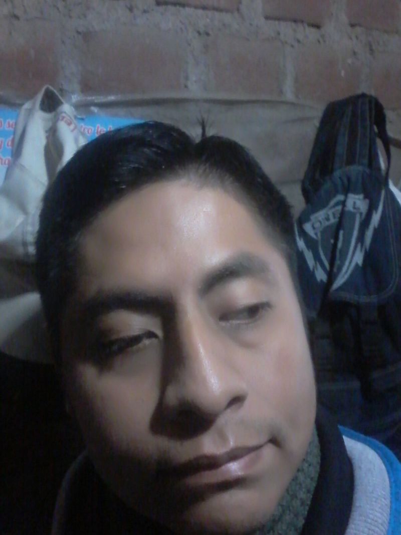 Gacelaamorpazliberta