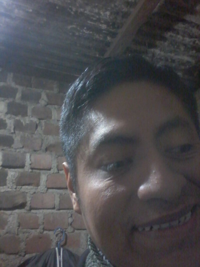 Gacelaamorpazliberta