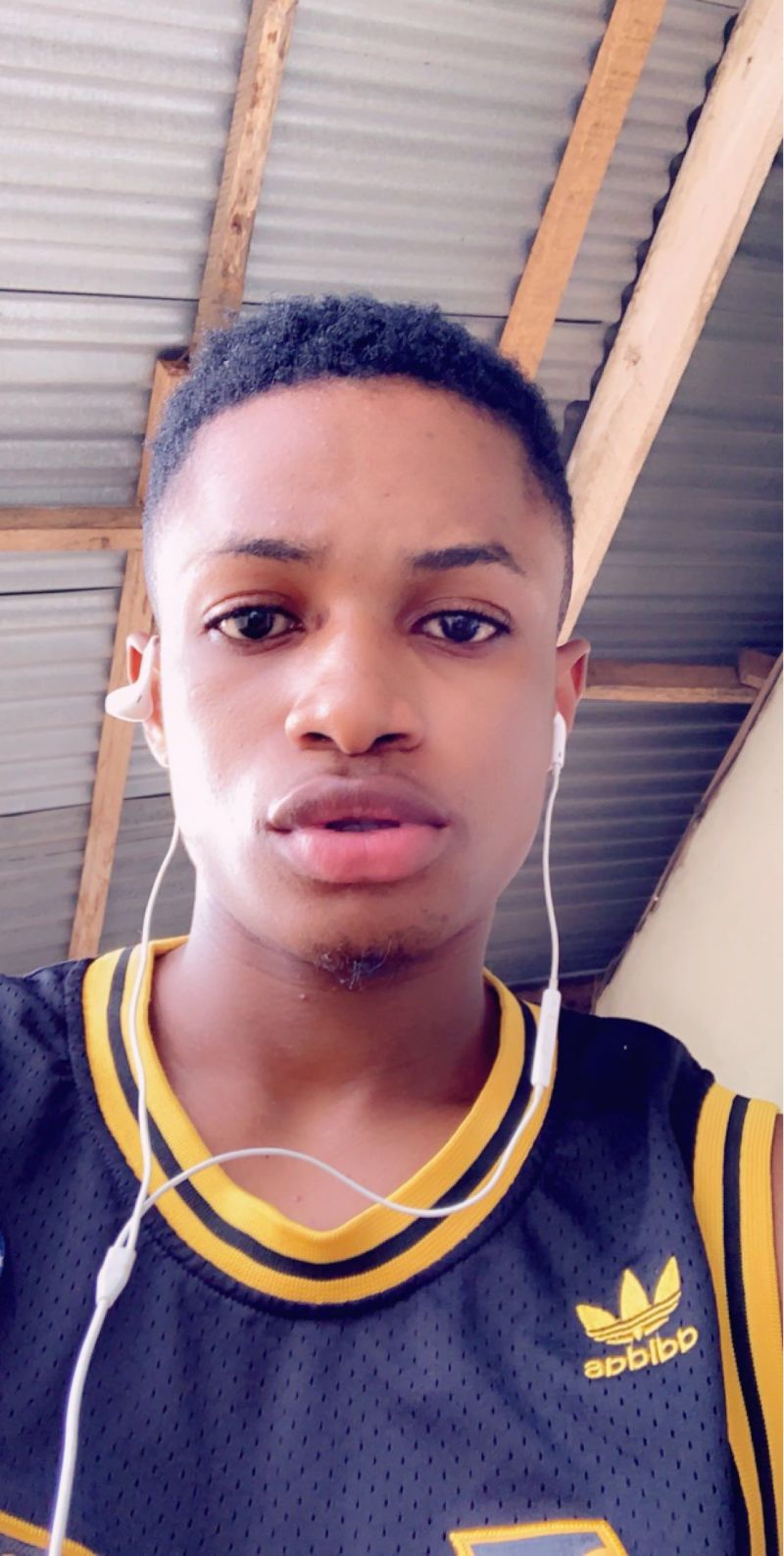 Ninho