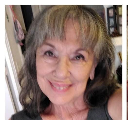 midorigreen midorigreen