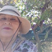 Amparo