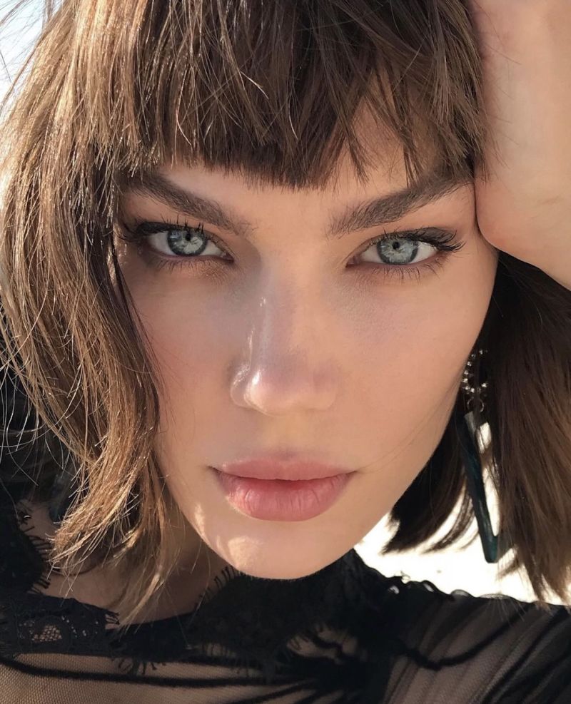 Vlada